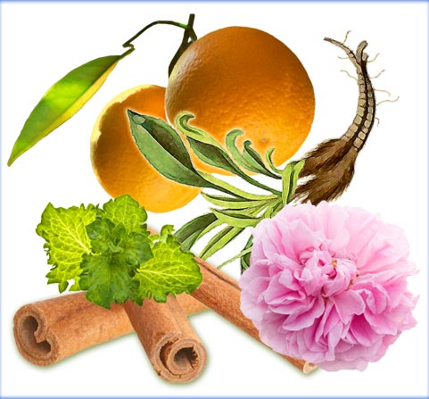 A montage of photos of orange fruits, rose flower, cinnamon sticks, jatamansi root and mint leaves.